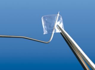 Изображение товара «Матрицы 1.901 светопрозрачные  колпачки (12 шт) уп. N1»